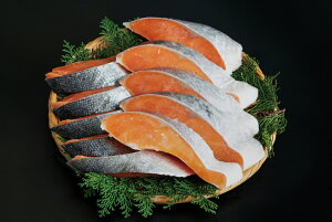 X܈ԐlCIÉ@؂g@؂10؂1.2kgi120g×10؂j