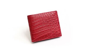 ؊ D ܂ ܍z Hz NR_C iCNR Y Luggage AOKI 1894 Q[WAIL Matt Crocodile aok2506la ElZ { {v v U[ y P10{ uh  20 30