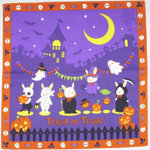 lGʕz gbNIAg[g C~@@{ 100  50cm  nEB WbNI[^  a^yXg[  H Mtg p[eB[