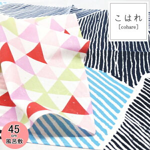 ͂ꕗC~(45cm)k45͂@X ˂ l  100 { ٓ `}bg 唻 `NX H itL ؕ Mtg bsO w  Y fB[X LbY