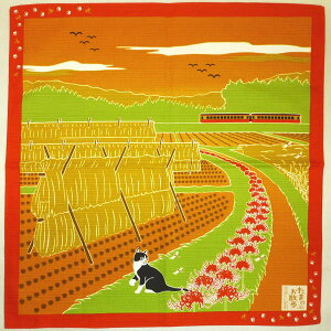 ܂̂U C~kފ݉ԁl10@{ 100  50cm {̎lG ΎL H̕i ފ݉  H    a^yXg[ H Mtg j