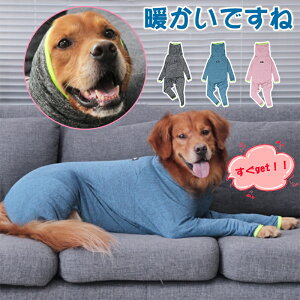  @p ^/傫TCY ~EFA @H~f^ _ExXg ~ ybg ~ ^ xXg 킢 