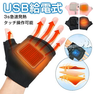 y2023NoEg蕨zdM dMO[u USB[d q[^[ Ci[O[u 3ix 4ԘAgp t wȂ  g[ q[^[O[u j