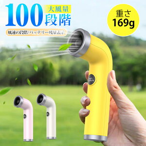nfBt@ gѐ@ ⊴ 莝@ 100iKʒ ԉғ ~jt@ MǑ΍ USB[d ^  ͑ ԉғ @ Type-C[d ^@ t 