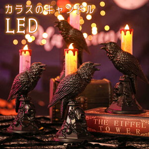 JX Lh LED JX LhCg Ȃ Led JX Lhz_[ Cg LhXeBbN z[ ~ e[u v nEB p[eB[ IW z