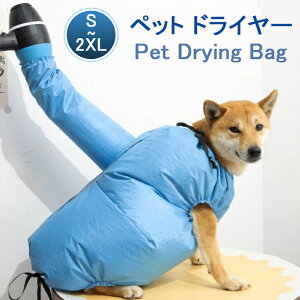 ybg hC[ p ybg  ybg  p ybgpi obO oX[u Vv[ hC[ f hC[⏕ oXObY C  