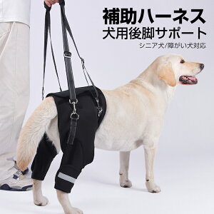 ⏕n[lX VjA ႪΉ   n[lX n[lX pi pn[lX Ȃ Vn[lX s⏕n[lX p Sgn[lX VjA p V ⏕