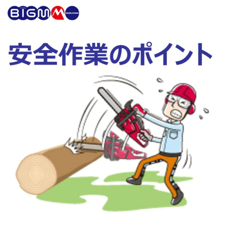 楽天市場】ポイント5倍（7/18～7/26）丸山製作所 BIGM ＜エンジン 
