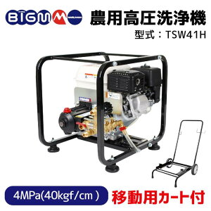 ێR쏊@BIGM  _ƍ@TSW41H ړpJ[gt 