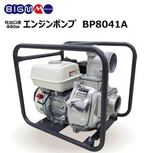 ێR쏊 BIG-M  GW|v BP8041A 