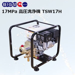 ێR쏊 BIG-M  @@TSW17H 