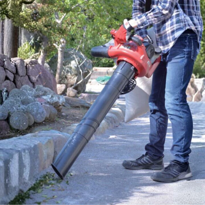 楽天市場】丸山製作所 BIG-M＜ エンジンブロワ RBL300S-1 用 