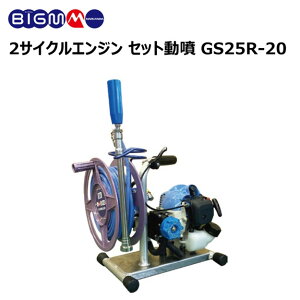 ێR쏊 BIG-M  2TCNGW Zbg GS25R-20 