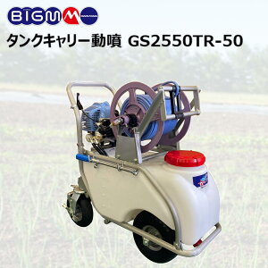 ێR쏊 BIG-M ^NL[ GS2550TR-50