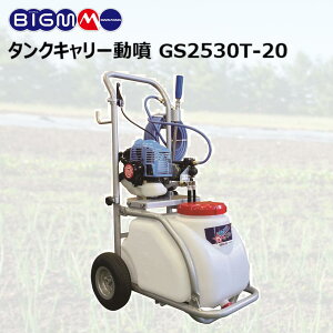 ێR쏊 BIG-M  ^NL[ GS2530T-20