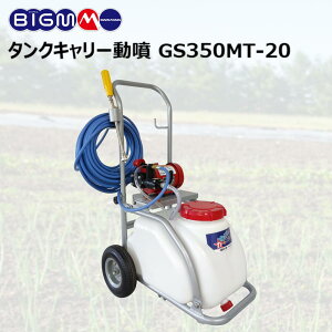 ێR쏊 BIGM  ^NL[ GS350MT-20