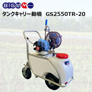 ێR쏊 BIG-M ^NL[ GS2550TR-20