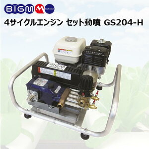 ێR쏊 BIG-M  GWZbg GS204E-H 