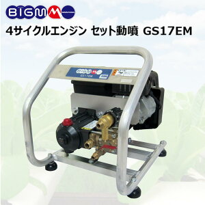 ێR쏊 BIG-M  GWZbg GS17EM