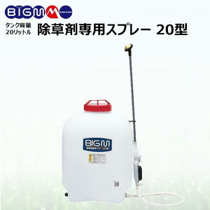 ێR쏊 BIG-M w ܐpXv[20^ 