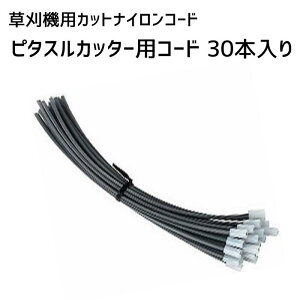 ێR BIGM JbgiCR[h  s^XJb^[p փR[h 30{ 