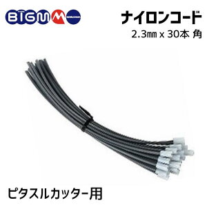 ێR BIGM JbgiCR[h  s^XJb^[p փR[h 30{ 