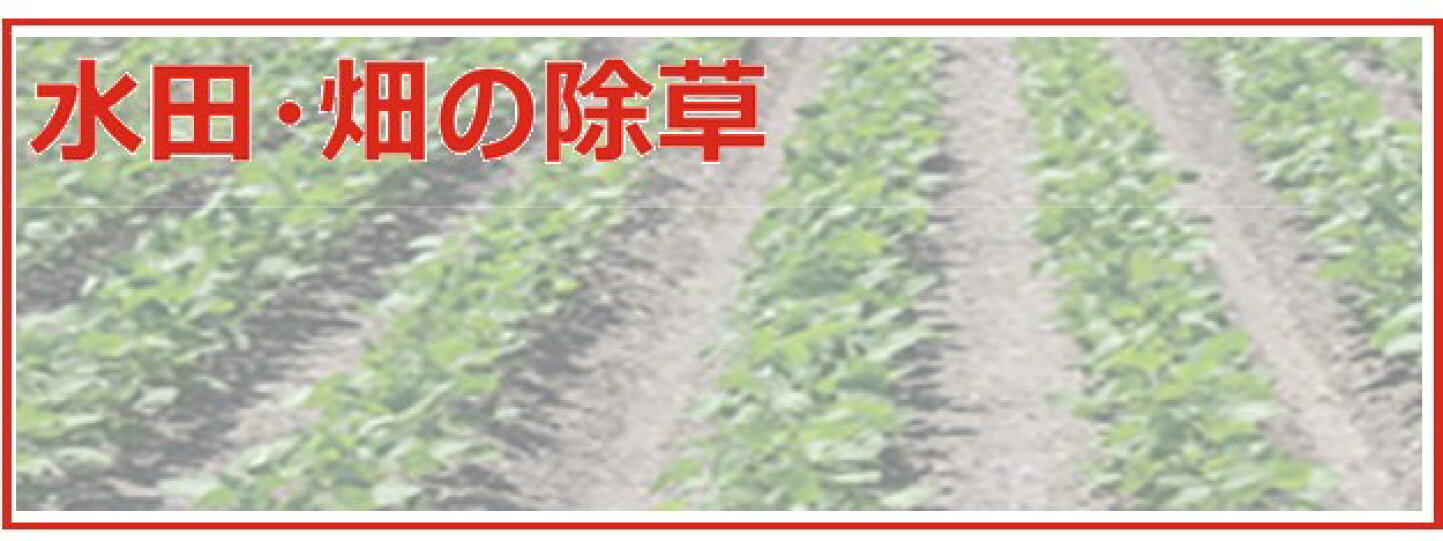 楽天市場 | 丸山製作所 - 水田・畑の除草