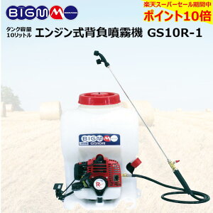  yVX[p[Z[Ԓ |Cg10{  ێR쏊 BIGM  w͕@ GS10R-1