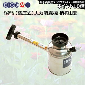 Ԍ10|Cg (11/20 20:00`) ێR쏊 BIG-M  蓮 1^i~) 