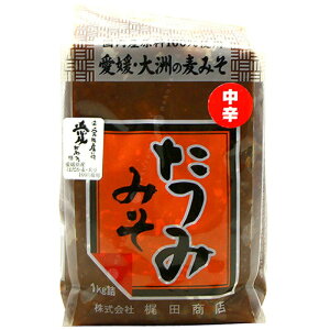 ���� ���݂� (���h)�� ���c���XKajita Shoten Tatsumi miso