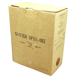 rAR obO C {bNX 3000ml [2020] _BfEXsbDavide Spillare Bianco 2020 (L.0721) BIB