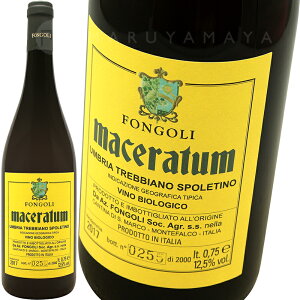 �}�`�F���g�D�� [2021] �t�H���S��Fongoli Maceratum