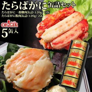 yoʋlZ[z΂ɊʋlZbgy󂠂Fܖ2026N8`zɊʋl Ɋ Jj Mtg Mtg ʋlMtg MtgZbg   j  aj ̂ l 