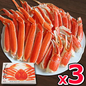 킢ɐ؂ړ 1kg MtgyzYCKj I  YCI r {C Mtg j  aj ̂ l hV̓ 