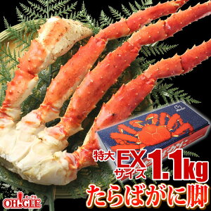 Jj  ΂ r EXTCY (1.1kg)yMtgzyzyyΉz5L6LƂ̒ԃTCY y1.1kgz^oKj I  ^oI r {C Mtg  aj