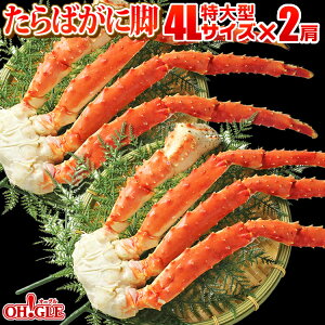 Jj {C ΂ r ^ 4LTCY × 2yzyyΉz^oKj I  ^oI r {C Mtg  aj