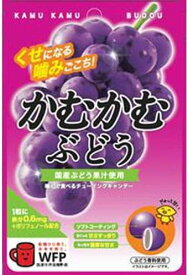 【送料無料】かむかむぶどう 30g×10袋