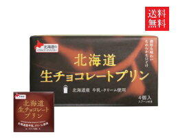 【送料無料】ベル食品 北海道生チョコレートプリン 4個入 (78g×4個)