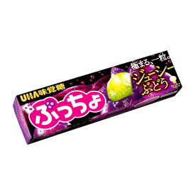 【送料無料】UHA味覚糖 ぷっちょスティック ジューシーぶどう 10粒×10個