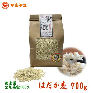 【1000円ポッキリ】はだか麦 900g 大麦の上質種 無農薬 愛媛県産 もち麦と同様,水溶性食物繊維が豊富な裸麦