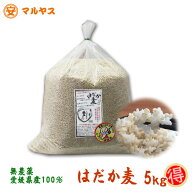はだか麦 5kg 愛媛県産 大麦 国産 無農薬 麦ごはん 食物繊維 βグルカン もち麦の代わりにも 農薬不使用 …
