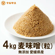 麦味噌 粒 全麹 無添加 生味噌 4kg 減塩7% 国産 愛媛県産はだか麦100% 甘口 麦みそ 味噌汁 食べる味噌 大…