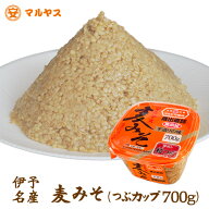 麦味噌 粒 全麹 無添加 生味噌 700g カップ 国産 愛媛県産はだか麦100% 甘口 減塩 塩分7% 粒みそ つぶ味…