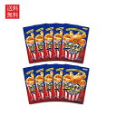 【送料無料】ニップン フライドチキンミックス 100g×10個