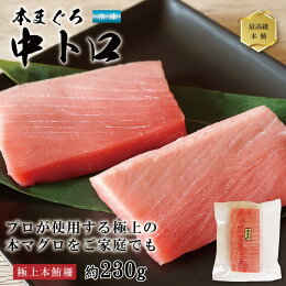 本マグロの中トロ