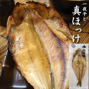  kC َY ^ق 290g 銱 zbP g͈܂ g 