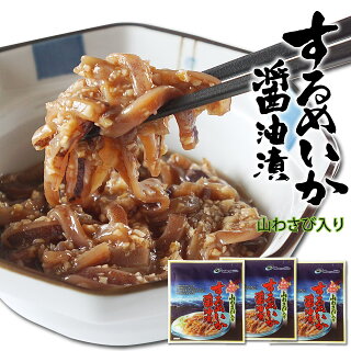 イカの塩辛 するめいか醤油漬 100g×3袋 山わさび入り