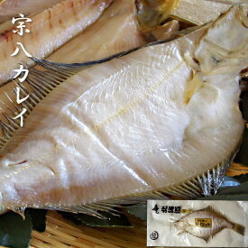 ＼ポイント5倍／干物 宗八カレイ 一夜干し 大サイズ 約260g 北海道産 ジューシーでふっくらとした身