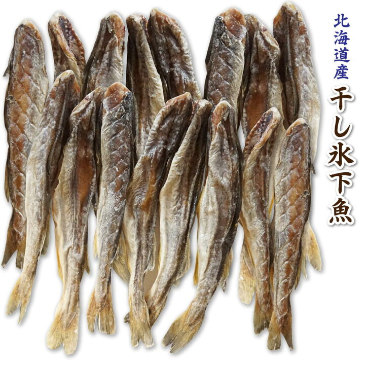 楽天市場 珍味 おつまみ 干し 氷下魚 約280g 北海道産 こまい 小サイズ 9 13尾程度 コマイ カンカイ 函館マルユウ漁業部 楽天市場店