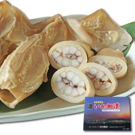 ＼ポイント10倍／いか粕漬け 3尾 (500g前後) イカ 粕漬け 函館 明治創業の味 ヤマノ中村商店 国産酒粕仕込み 伝統の味 芳醇な香り